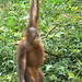 Jane Evans Photo 29