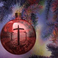 Caroline Hayes Photo 21