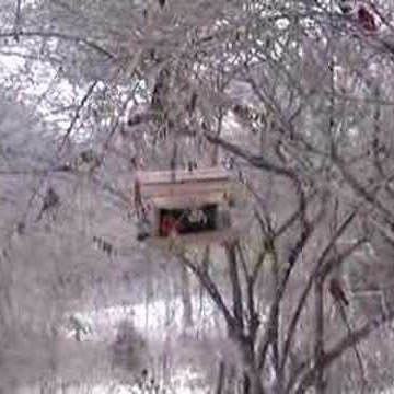 Lori Lockhart Photo 37