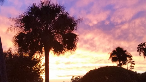 Billy Rogers Photo 35