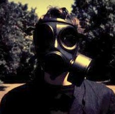 Steve Welsh Photo 11