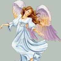 Jeannine Murphy Photo 14