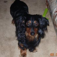 Brian Stuckey Photo 22