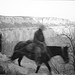 Kenneth Nelson Photo 20