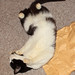 Aimee Sharp Photo 29