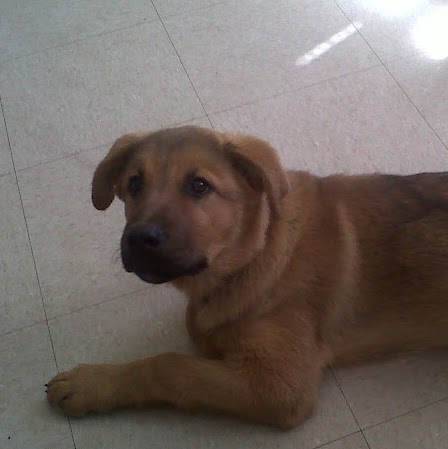 Jessica Duval Photo 4