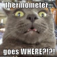 Steve Bruce Photo 38