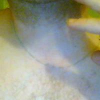 Gerry Murphy Photo 36