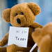 Teddy Day Photo 30