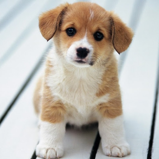 Joseph Lord Photo 38