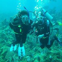 Sharon Chen Photo 19