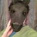 Betsy Turner Photo 2