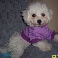 Betty Vaughn Photo 6