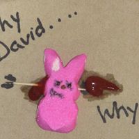 Maria Montgomery Photo 24