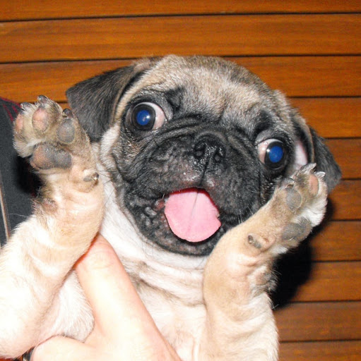 Brian Maher Photo 17