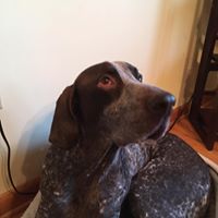 Teresa Rhoades Photo 18