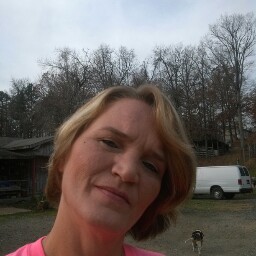 Robin Andrews Photo 4