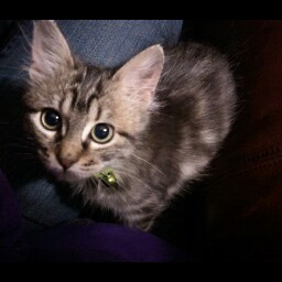 Sarah Cason Photo 25