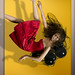 Elisa Escobar Photo 24