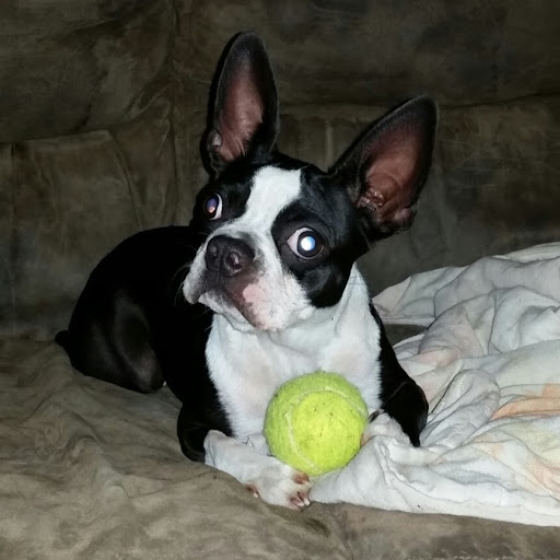 James Crouch Photo 23