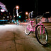 Ellis Adams Photo 19