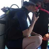 Deborah Mccormick Photo 10