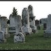 Beatrice Graves Photo 4
