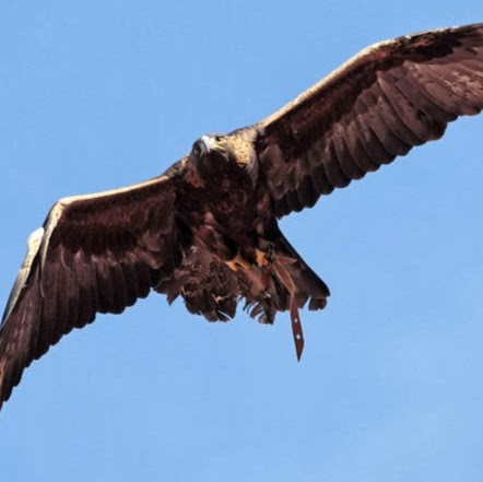 Christopher Redden Photo 28