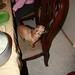 Robin Colton Photo 13