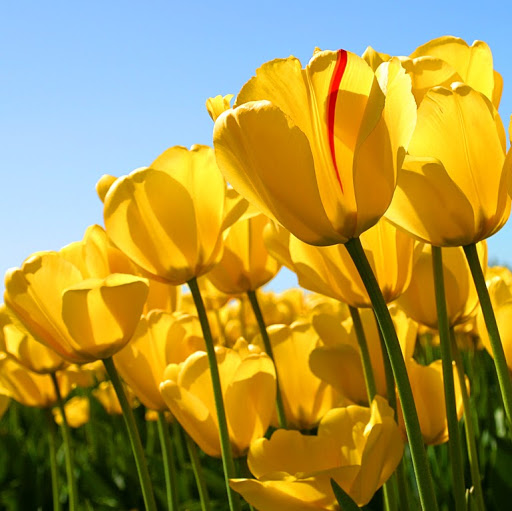 Catherine Sullivan Photo 47