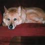 Karen James Photo 49