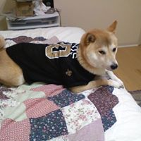 April Mayfield Photo 13