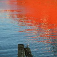 Allison Roper Photo 23