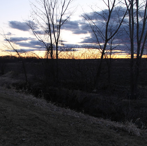 Julia Elliott Photo 43