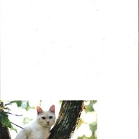 Sandra Caldwell Photo 19