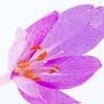 Lisa Watson Photo 42