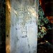 William Mcintosh Photo 16