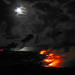 Gail Williams Photo 31