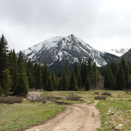 Tommy Webster Photo 17