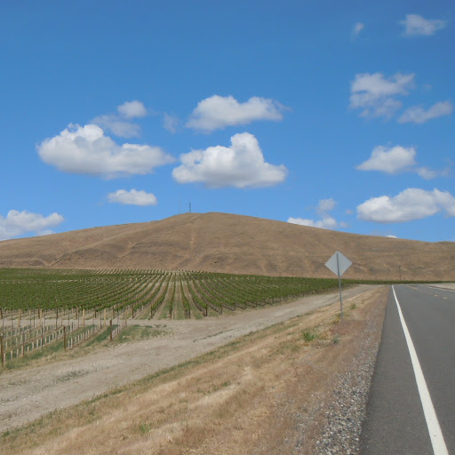 Eric Henriksen Photo 13