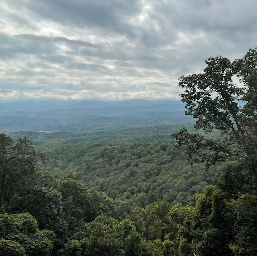 Joshua Cook Photo 23