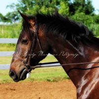 Kathy Mackey Photo 6