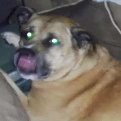 Jesse Moran Photo 14