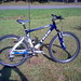 Darlene Fuller Photo 11
