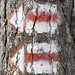 Mark Sonnenberg Photo 13
