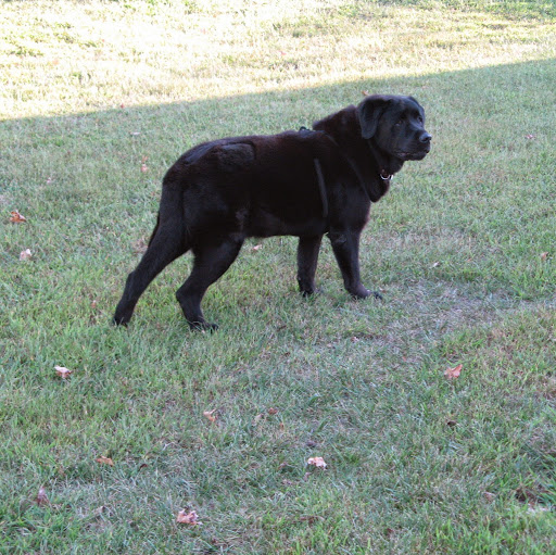 Jeffrey Jennings Photo 27 Jeffrey Jennings Photo 27