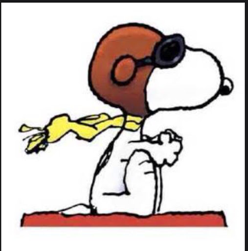 Michael Switzer Photo 21