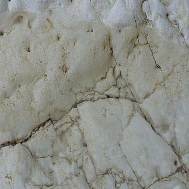 Joseph Stewart Photo 51