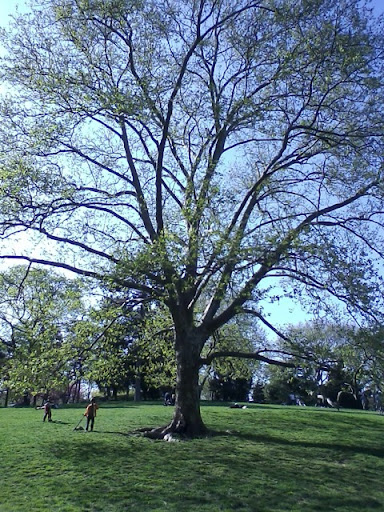 Janet Watson Photo 35 Janet Watson Photo 35