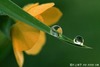 Jun Jiang Photo 7